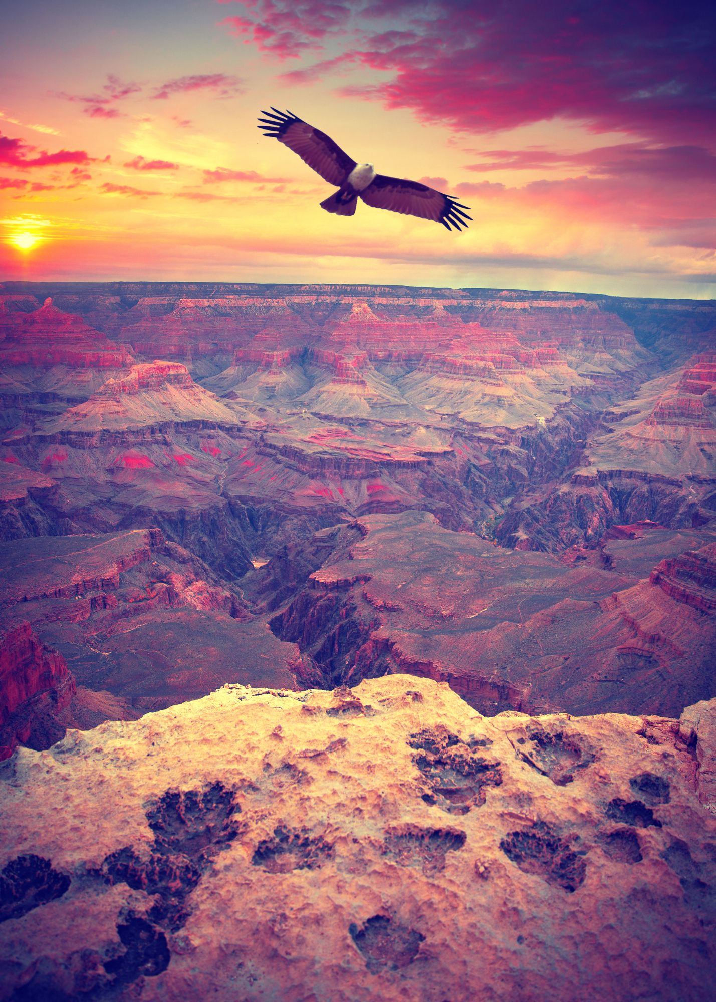 Uncharted Life