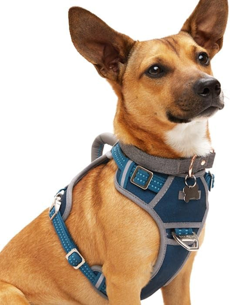 Reddy Canvas Dog Harness – Durable, Adjustable & Stylish Navy Harness for Large Dogs