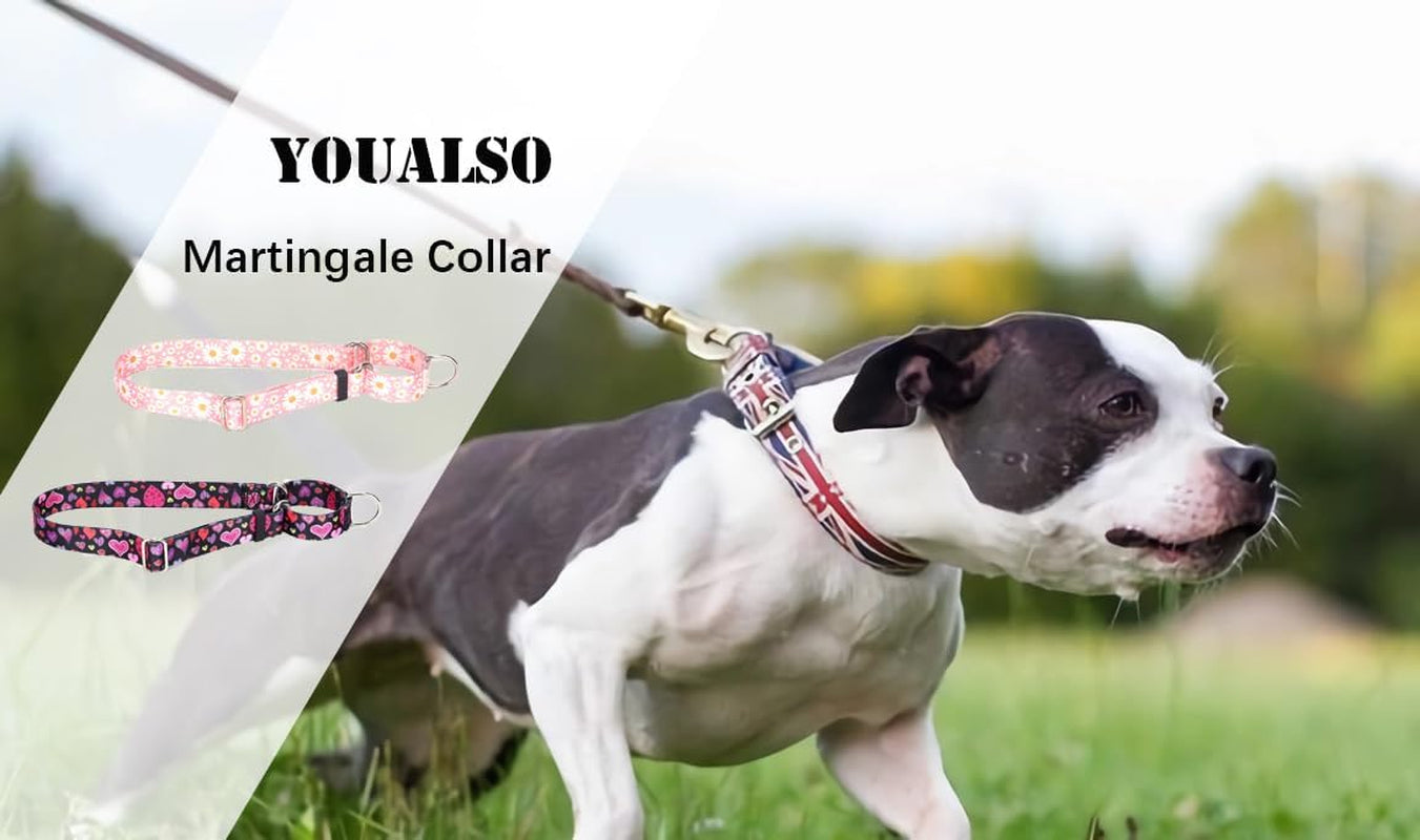 Martingale Collar for Dogs | No-Slip Escape Proof, Adjustable Nylon Training Collar, Pink Daisy Pattern