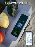 ACOPOWER & Lioncooler 12V Car Refrigerator: 32Qt, Rechargeable, Solar-Powered & Smart App Control