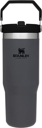 STANLEY Iceflow Stainless Steel Tumbler | Vacuum Insulated, Leak-Resistant, Reusable Cup with Straw