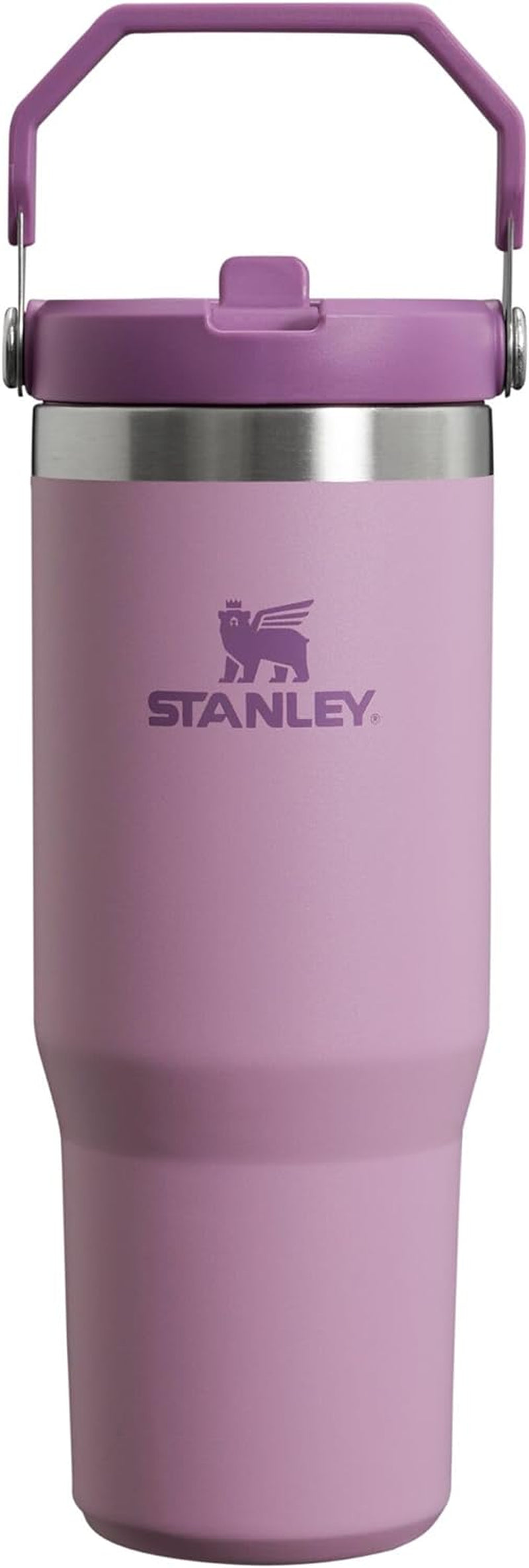 STANLEY Iceflow Stainless Steel Tumbler | Vacuum Insulated, Leak-Resistant, Reusable Cup with Straw