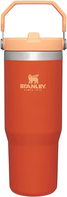 STANLEY Iceflow Stainless Steel Tumbler | Vacuum Insulated, Leak-Resistant, Reusable Cup with Straw