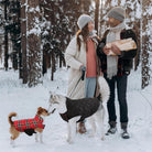 Reversible British Style Plaid Dog Winter Coat – Waterproof & Warm for Small, Medium & Large Dogs