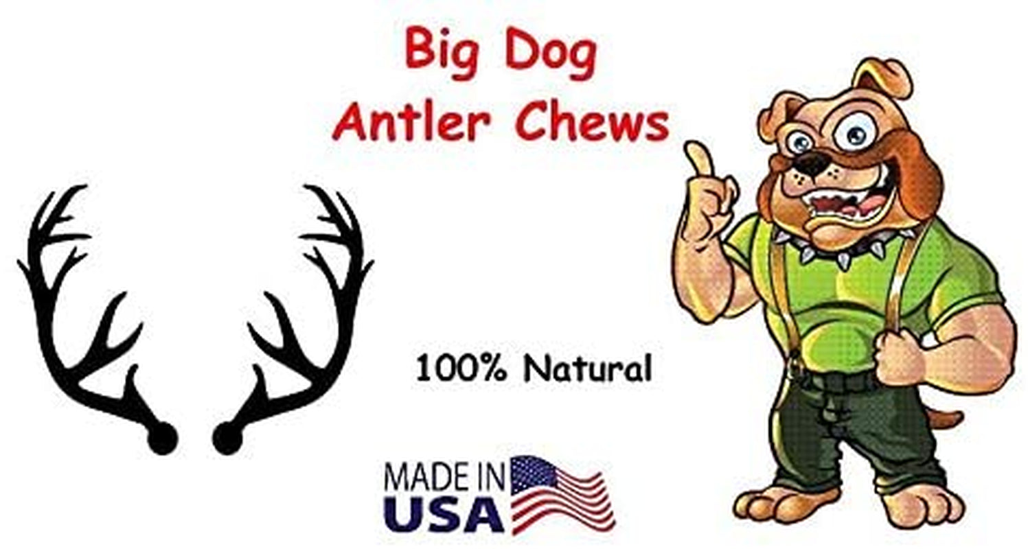 Premium Deer Antler Pieces - Dog Chews - Antlers by the Pound, One Pound - Six Inches or Longer - Medium, Large and XL - Happy Dog Guarantee!