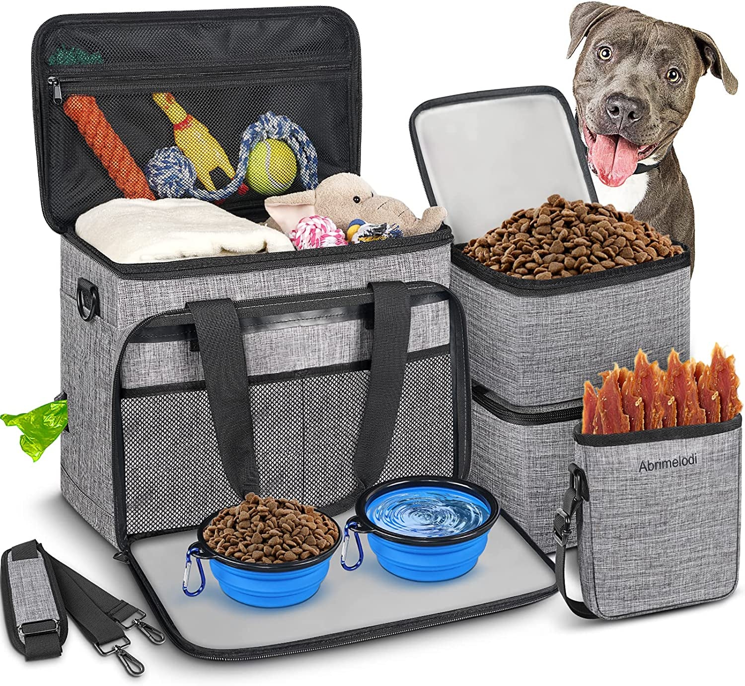 Paw-some Adventure Kit: Everything Your Dog Needs for a Weekend Escape (Because They Deserve a Getaway Too!)