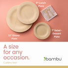 Bambu, Veneerware Disposable Bamboo round Plates, 100% Biodegradable Flat Tableware - 11", Pack of 25