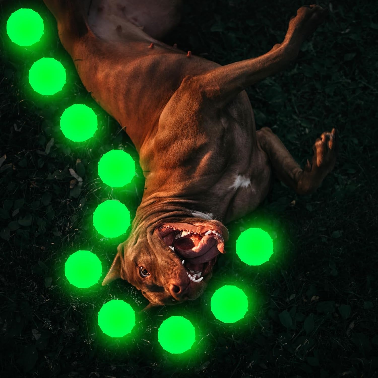 Liliful 10 Pcs Glow in the Dark Dog Toys 2.4 Inch Dog Balls Rubber Glowing Fetch Ball with Net Bag for Puppy Small Medium Dogs