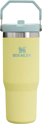 STANLEY Iceflow Stainless Steel Tumbler | Vacuum Insulated, Leak-Resistant, Reusable Cup with Straw