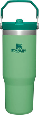 STANLEY Iceflow Stainless Steel Tumbler | Vacuum Insulated, Leak-Resistant, Reusable Cup with Straw