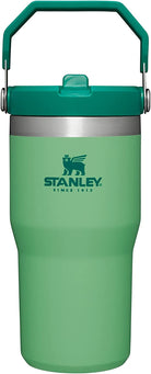 STANLEY Iceflow Stainless Steel Tumbler | Vacuum Insulated, Leak-Resistant, Reusable Cup with Straw