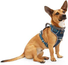 Reddy Canvas Dog Harness – Durable, Adjustable & Stylish Navy Harness for Large Dogs