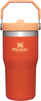 STANLEY Iceflow Stainless Steel Tumbler | Vacuum Insulated, Leak-Resistant, Reusable Cup with Straw