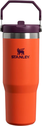 STANLEY Iceflow Stainless Steel Tumbler | Vacuum Insulated, Leak-Resistant, Reusable Cup with Straw