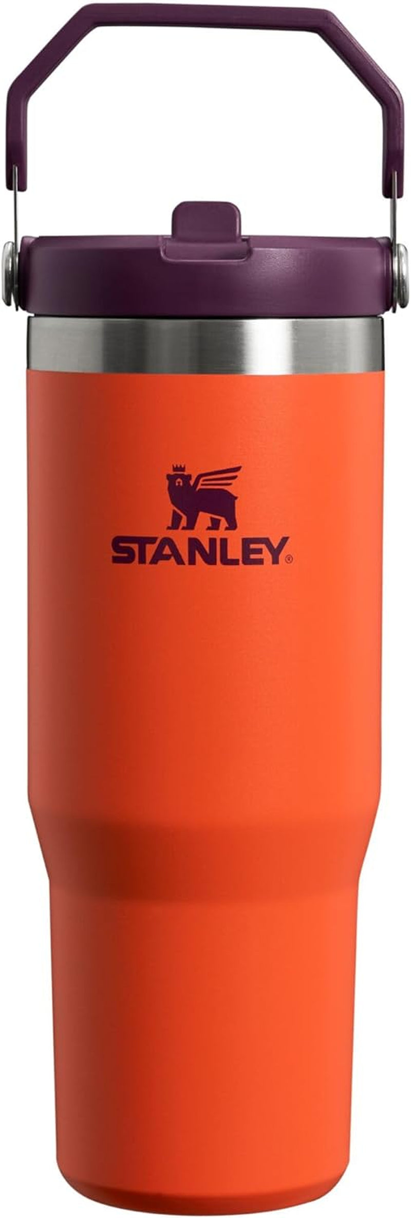 STANLEY Iceflow Stainless Steel Tumbler | Vacuum Insulated, Leak-Resistant, Reusable Cup with Straw