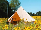 Boutique Camping - Uncharted Life