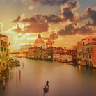 Trafalgar - Uncharted Life