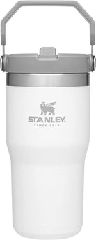 STANLEY Iceflow Stainless Steel Tumbler | Vacuum Insulated, Leak-Resistant, Reusable Cup with Straw