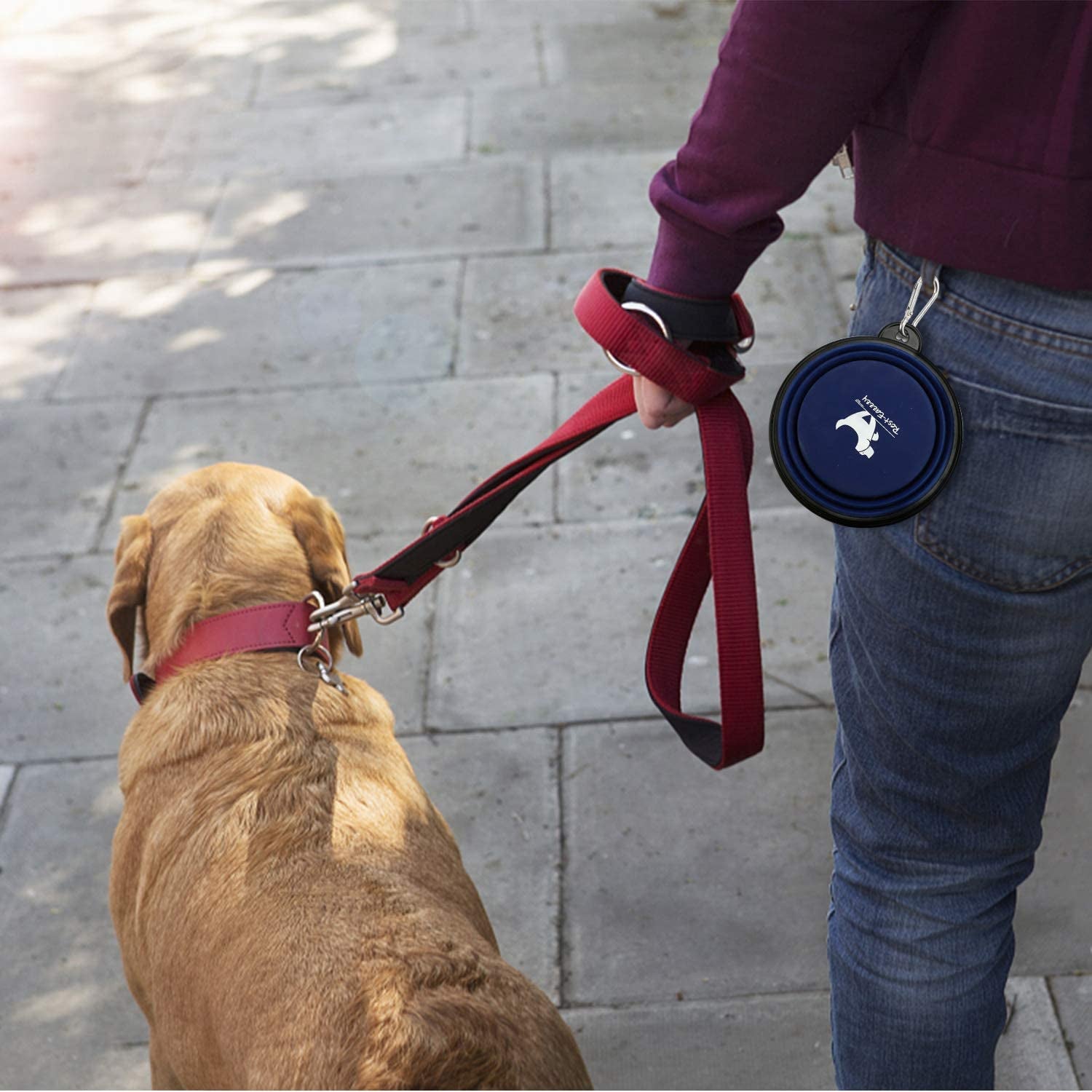 Collapsible Dog Bowls for Travel, 2-Pack Dog Portable Water Bowl for Dogs Cats Pet Foldable Feeding Watering Dish for Traveling Camping Walking with 2 Carabiners, BPA Free