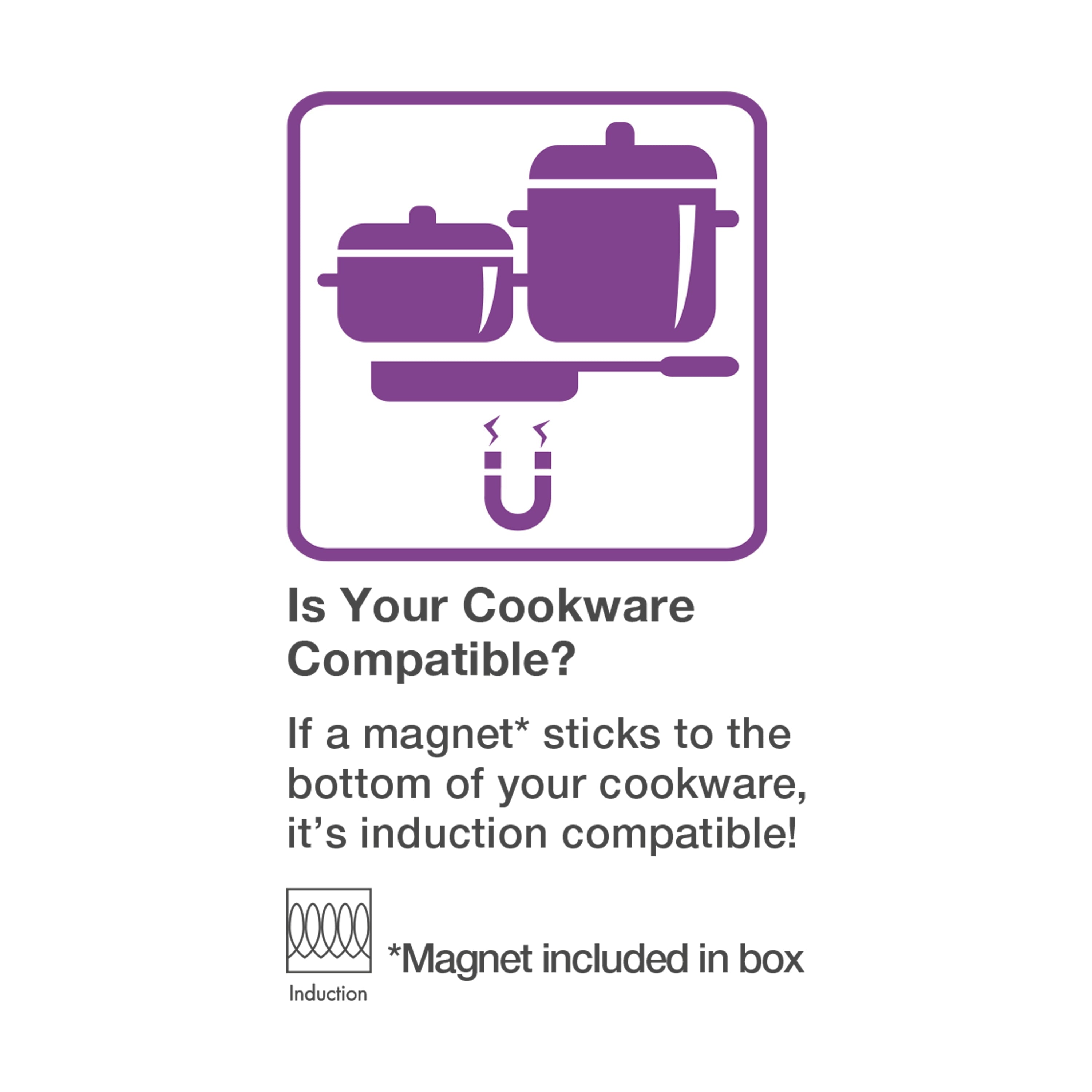 Portable Induction Cooktop