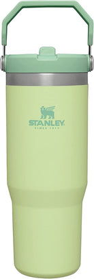 STANLEY Iceflow Stainless Steel Tumbler | Vacuum Insulated, Leak-Resistant, Reusable Cup with Straw