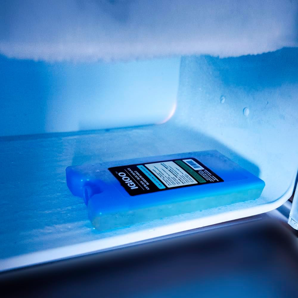 Igloo Maxcold Ice Blocks