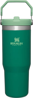 STANLEY Iceflow Stainless Steel Tumbler | Vacuum Insulated, Leak-Resistant, Reusable Cup with Straw