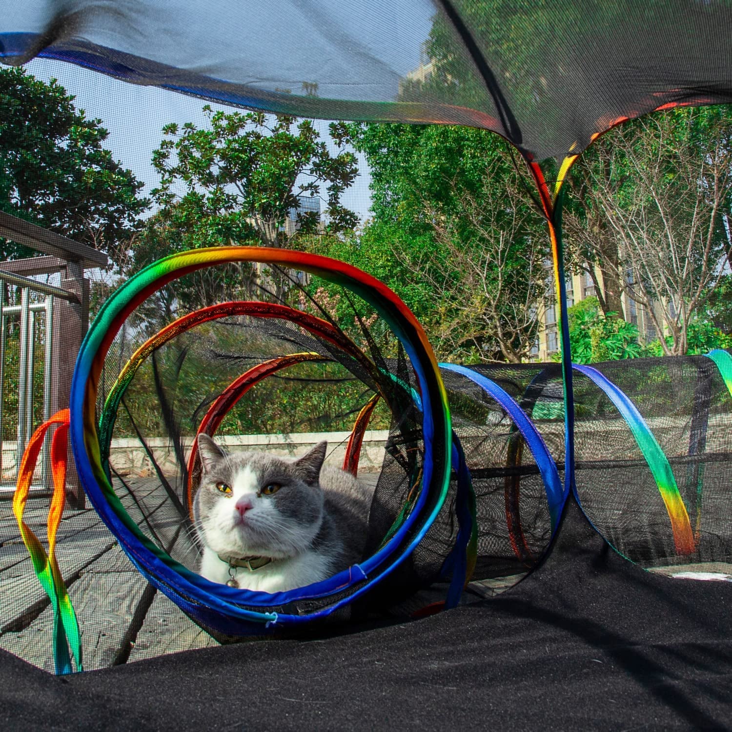 LUCKITTY Outdoor Rainbow Cat Enclosures Playground,Outside House for Indoor Cats Include Portable Cat Tent, Circle Playpen Tunnel, for Kitty and Small Animals,Within Storage Bag