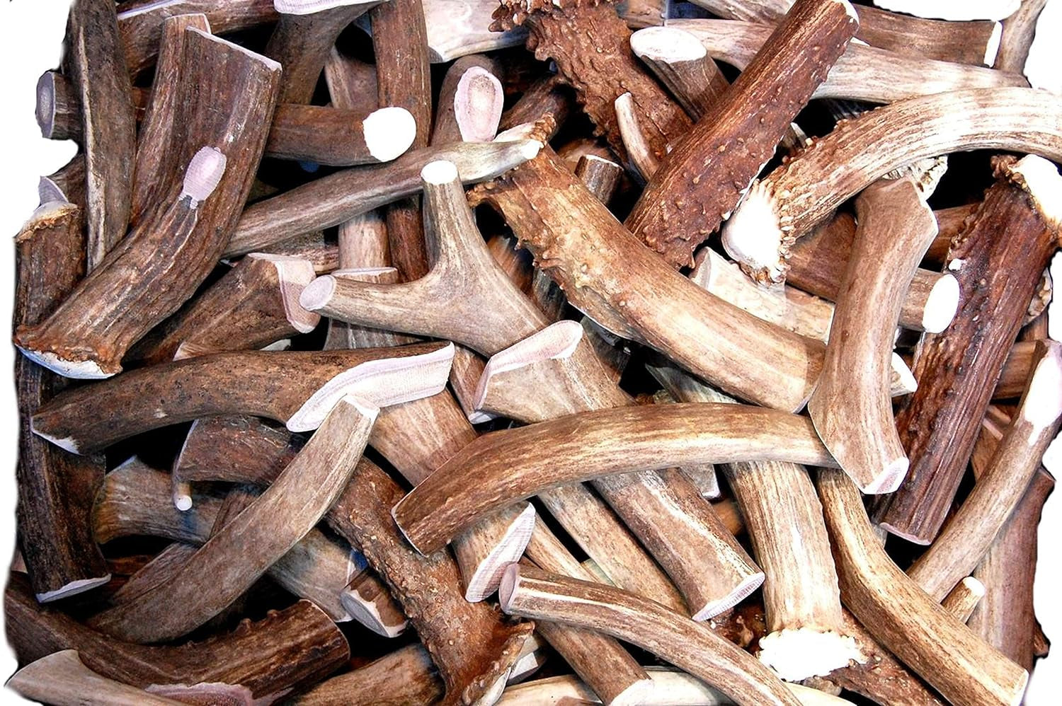 Premium Deer Antler Pieces - Dog Chews - Antlers by the Pound, One Pound - Six Inches or Longer - Medium, Large and XL - Happy Dog Guarantee!