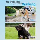 Pooch Pincher: A Stylish Solution for Managing Disobedient Dogs