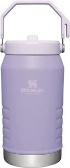 STANLEY Iceflow Stainless Steel Tumbler | Vacuum Insulated, Leak-Resistant, Reusable Cup with Straw