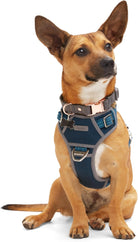 Reddy Canvas Dog Harness – Durable, Adjustable & Stylish Navy Harness for Large Dogs