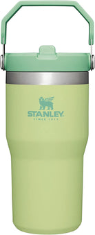 STANLEY Iceflow Stainless Steel Tumbler | Vacuum Insulated, Leak-Resistant, Reusable Cup with Straw