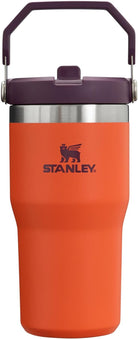 STANLEY Iceflow Stainless Steel Tumbler | Vacuum Insulated, Leak-Resistant, Reusable Cup with Straw