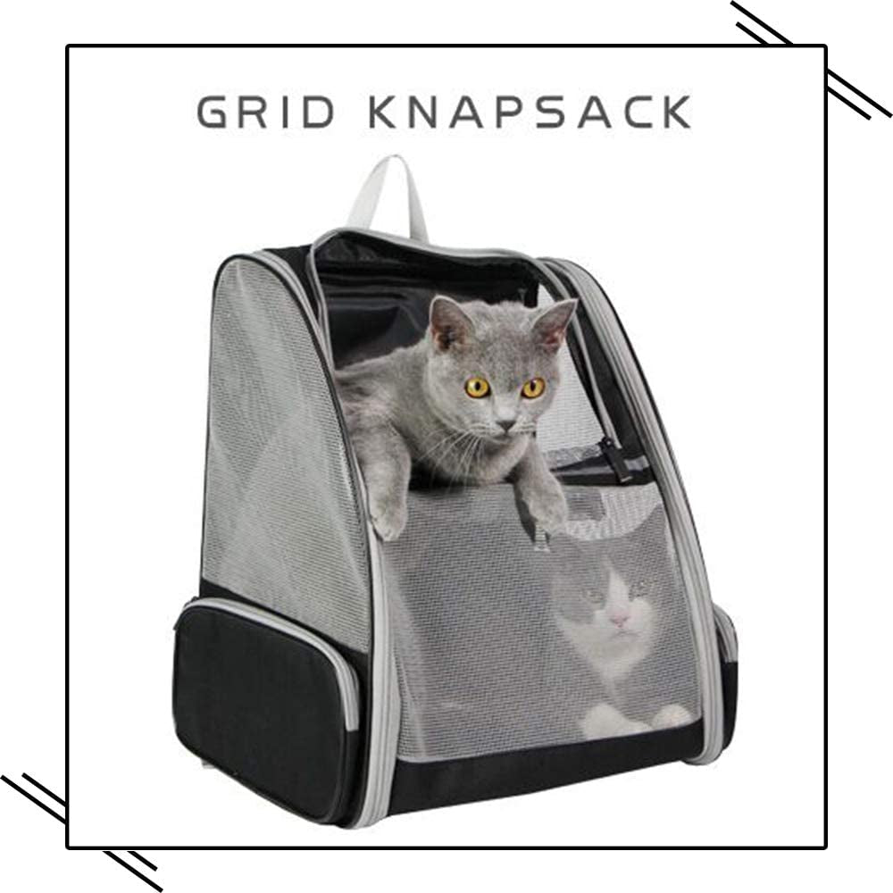 Sleek Black Space Bubble Backpack for Pets on the Go