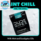 Flushable Wipes - 30 Ct, Mint Chill, Extra-Large, Individually Wrapped, Eucalyptus & Tea Tree, Septic Safe