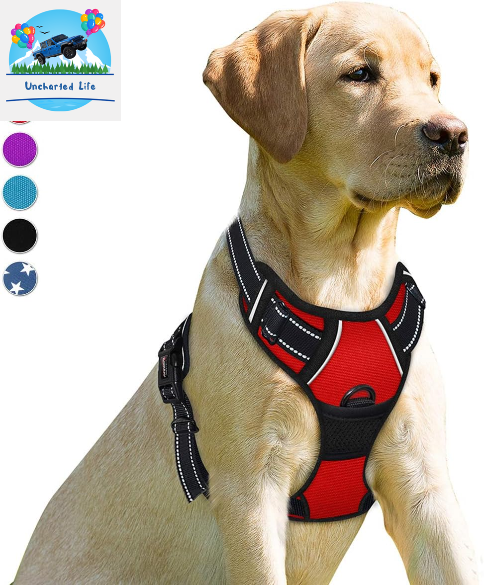 BARKBAY No-Pull Dog Harness – Adjustable, Reflective & Durable