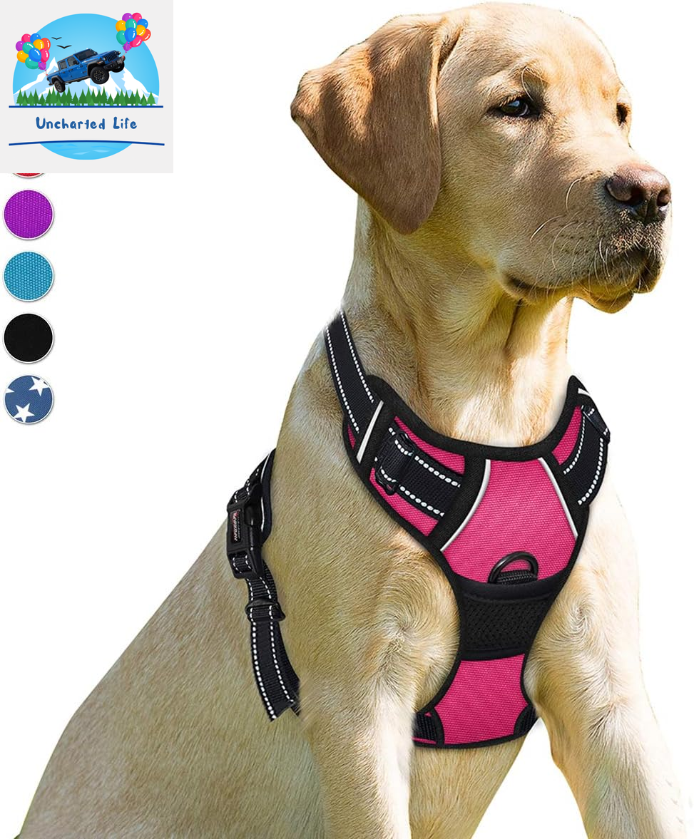 BARKBAY No-Pull Dog Harness – Adjustable, Reflective & Durable