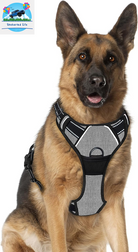 BARKBAY No-Pull Dog Harness – Adjustable, Reflective & Durable