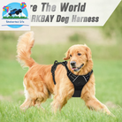 BARKBAY No-Pull Dog Harness – Adjustable, Reflective & Durable