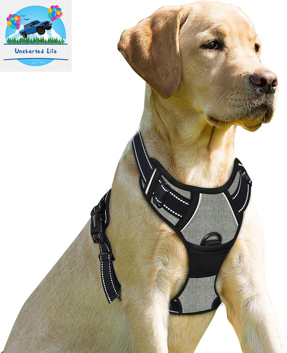 BARKBAY No-Pull Dog Harness – Adjustable, Reflective & Durable