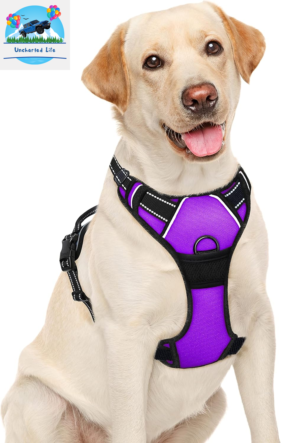 BARKBAY No-Pull Dog Harness – Adjustable, Reflective & Durable