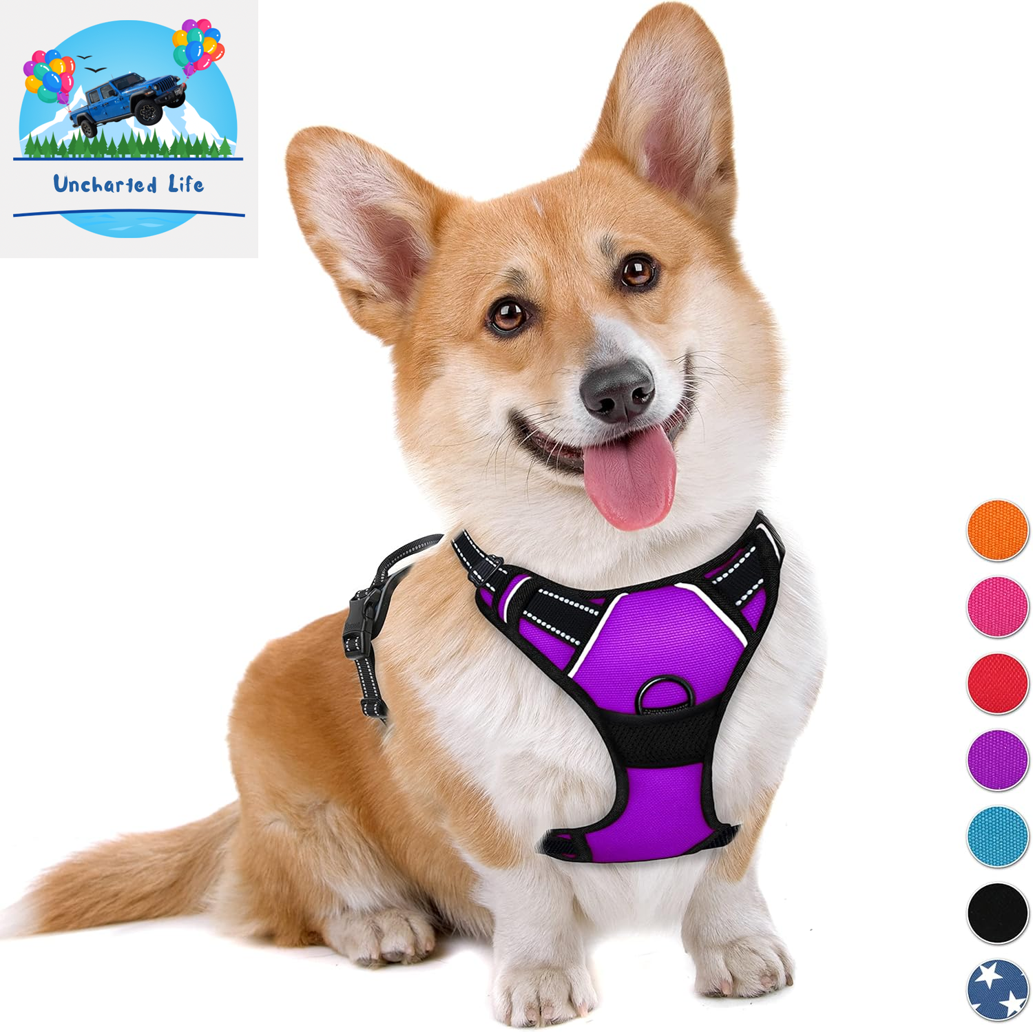 BARKBAY No-Pull Dog Harness – Adjustable, Reflective & Durable