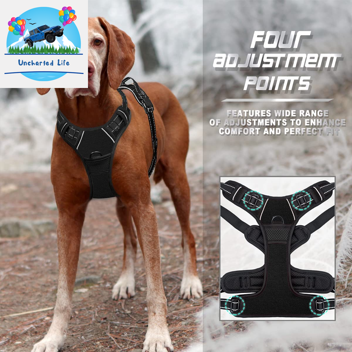 BARKBAY No-Pull Dog Harness – Adjustable, Reflective & Durable