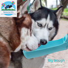 Foldable Dog Water Bottle – Leak-Proof, Portable & Travel-Friendly