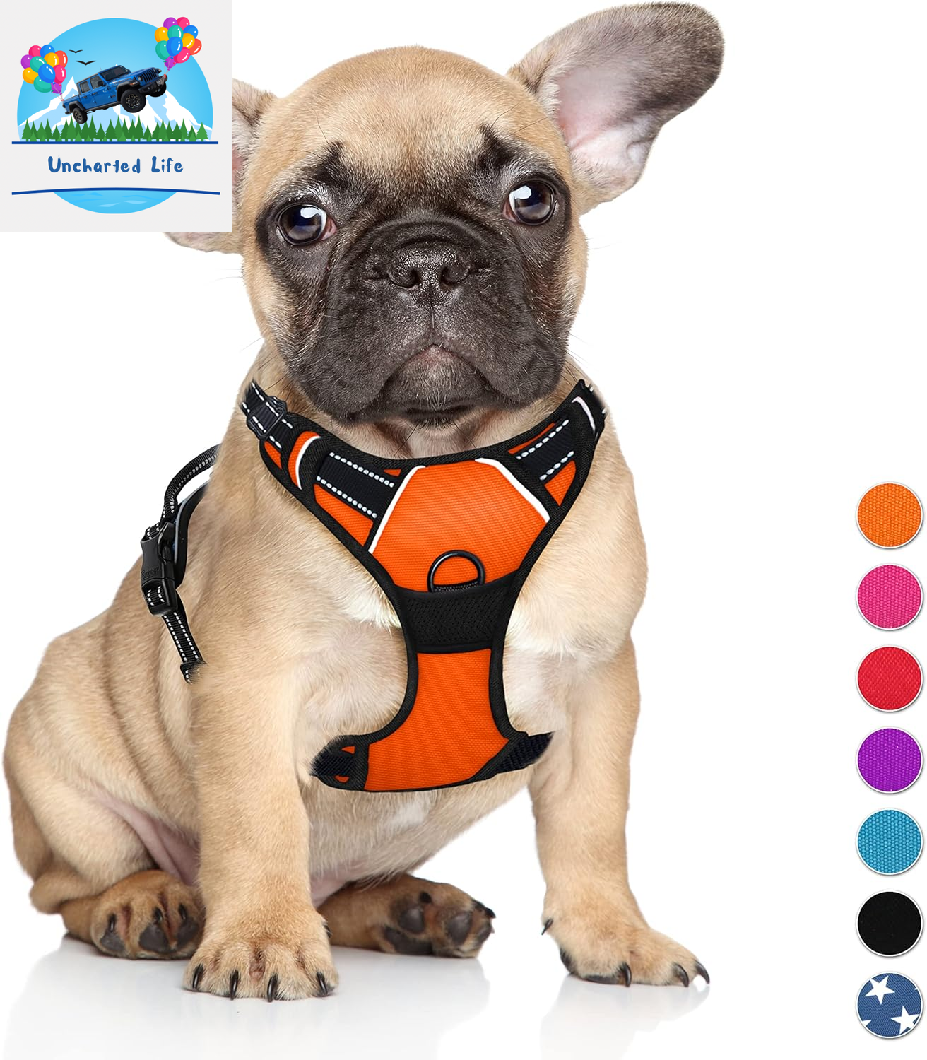 BARKBAY No-Pull Dog Harness – Adjustable, Reflective & Durable