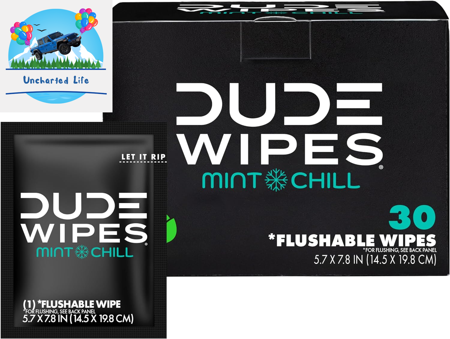 Flushable Wipes - 30 Ct, Mint Chill, Extra-Large, Individually Wrapped, Eucalyptus & Tea Tree, Septic Safe