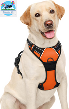 BARKBAY No-Pull Dog Harness – Adjustable, Reflective & Durable