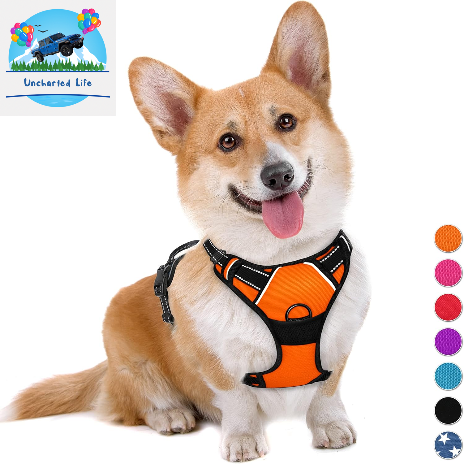 BARKBAY No-Pull Dog Harness – Adjustable, Reflective & Durable